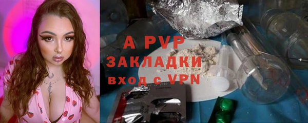 амф Пестово