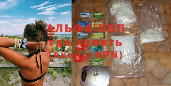 дурь Пересвет