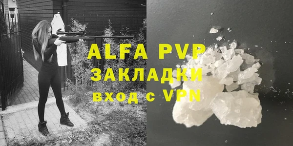 дурь Пересвет