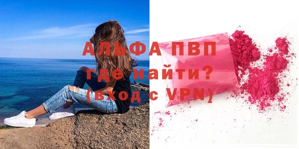 амф Пестово