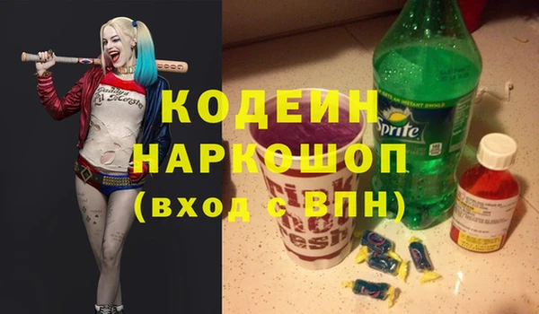 амф Пестово